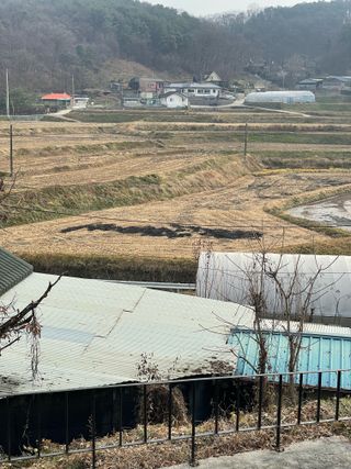 별@노래농장(정씨)님의 벼 · 영농일지 작성글 사진