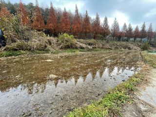 별@노래농장(정씨)님의 벼 · 영농일지 작성글 사진