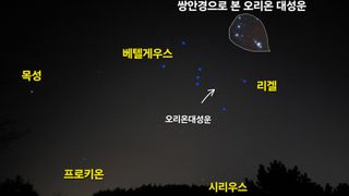 유병욱님의 기타작물 · 영농일지 작성글 사진