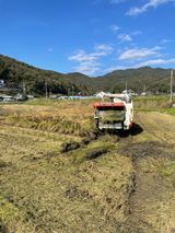 팜모닝 벼·영농일지 게시글 이미지