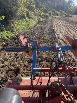 별@노래농장(정씨)님의 벼 · 영농일지 작성글 사진