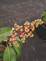 팜모닝 기타작물·영농일지 게시글 이미지