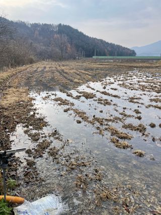 별@노래농장(정씨)님의 벼 · 영농일지 작성글 사진