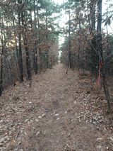 팜모닝 기타작물·영농일지 게시글 이미지