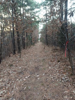 전원수님의 기타작물 · 영농일지 작성글 사진