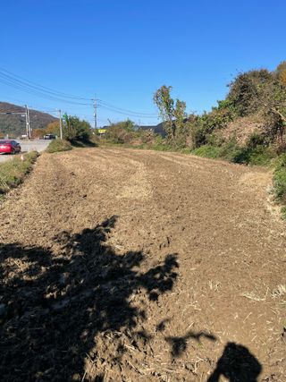 별@노래농장(정씨)님의 벼 · 영농일지 작성글 사진