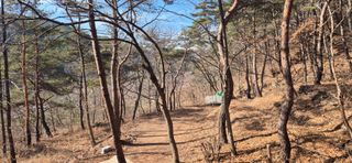 정진필님의 기타작물 · 영농일지 작성글 사진