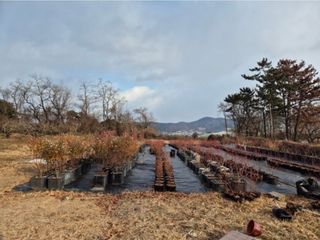 가야베리팜님의 블루베리 · 영농일지 작성글 사진