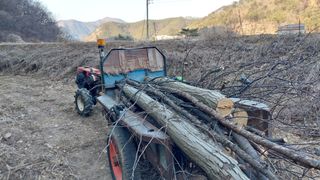 유병욱님의 기타작물 · 영농일지 작성글 사진