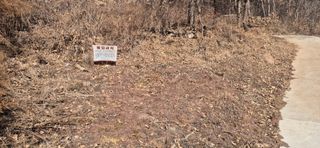 정진필님의 기타작물 · 영농일지 작성글 사진