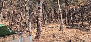 정진필님의 기타작물 · 영농일지 작성글 사진