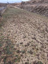 팜모닝 기타작물·영농일지 게시글 이미지