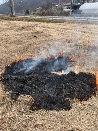 별@노래농장(정씨)님의 벼 · 영농일지 작성글 사진