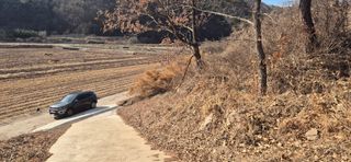 정진필님의 기타작물 · 영농일지 작성글 사진