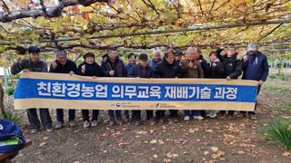 별@노래농장(정씨)님의 포도 · 영농일지 작성글 사진