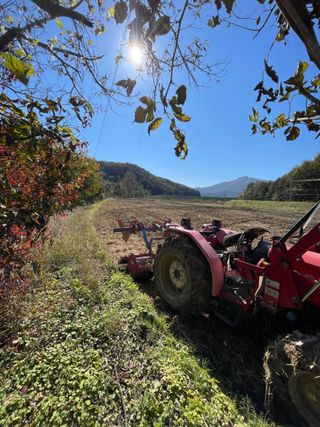 별@노래농장(정씨)님의 벼 · 영농일지 작성글 사진