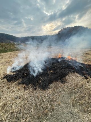 별@노래농장(정씨)님의 벼 · 영농일지 작성글 사진