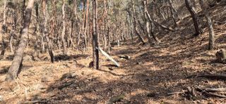 정진필님의 기타작물 · 영농일지 작성글 사진