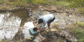 별@노래농장(정씨)님의 벼 · 영농일지 작성글 사진