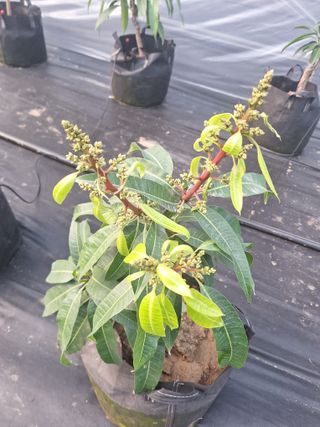 유용규님의 기타작물 · 영농일지 작성글 사진