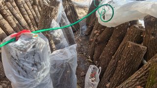 김동명님의 버섯 · 영농일지 작성글 사진