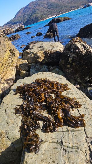 옥재벌님의 기타작물 · 영농일지 작성글 사진