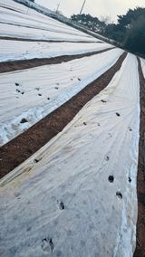 조한충님의 작성글 사진