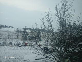 바위돌 심재성님의 기타작물 · 영농일지 작성글 사진