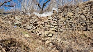 김동명님의 버섯 · 영농일지 작성글 사진