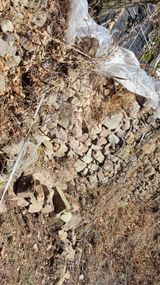 김동명님의 작성글 사진