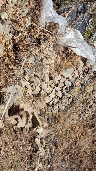 김동명님의 버섯 · 영농일지 작성글 사진