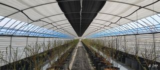 류근택님의 블루베리 · 영농일지 작성글 사진