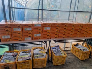 이호님의 귤 · 영농일지 작성글 사진