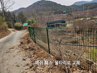 연모 자연의행복님의 기타작물 · 영농일지 작성글 사진