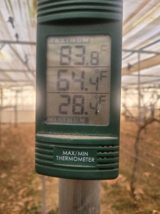 4799님의 포도 · 영농일지 작성글 사진