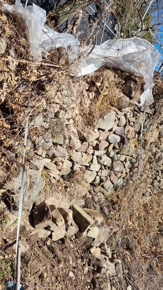 김동명님의 버섯 · 영농일지 작성글 사진