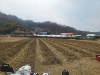 진주 민초피 농원님의 기타작물 · 영농일지 작성글 사진