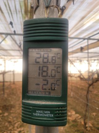 4799님의 포도 · 영농일지 작성글 사진