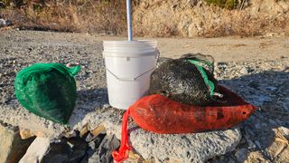 옥재벌님의 기타작물 · 영농일지 작성글 사진