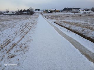 바위돌 심재성님의 기타작물 · 영농일지 작성글 사진