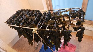 옥재벌님의 기타작물 · 영농일지 작성글 사진