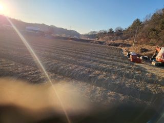 진주 민초피 농원님의 기타작물 · 영농일지 작성글 사진