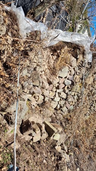 김동명님의 버섯 · 영농일지 작성글 사진