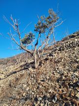 팜모닝 감·영농일지 게시글 이미지