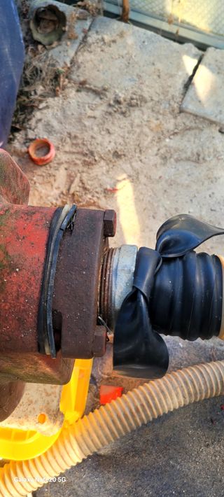 서대산향수님의 포도 · 영농일지 작성글 사진