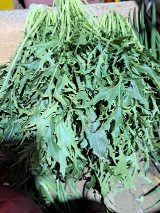 한림한경님의 기타작물 · 영농일지 작성글 사진