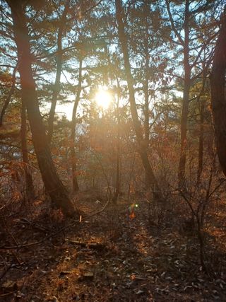 전원수님의 기타작물 · 영농일지 작성글 사진