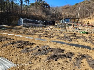 하여튼님의 기타작물 · 영농일지 작성글 사진