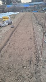 팜모닝 상추·영농일지 게시글 이미지