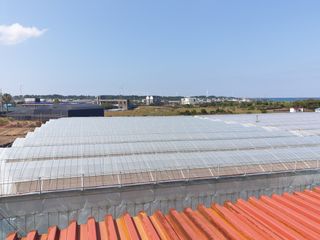 바굼지님의 기타작물 · 영농일지 작성글 사진